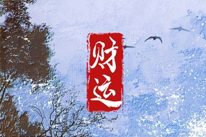 流年运势：动态视角