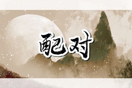 姓名配对在合婚中的位置
