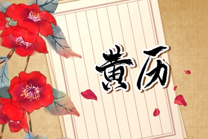 今日九星怎么读