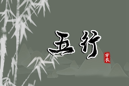 缺什么就要补什么吗